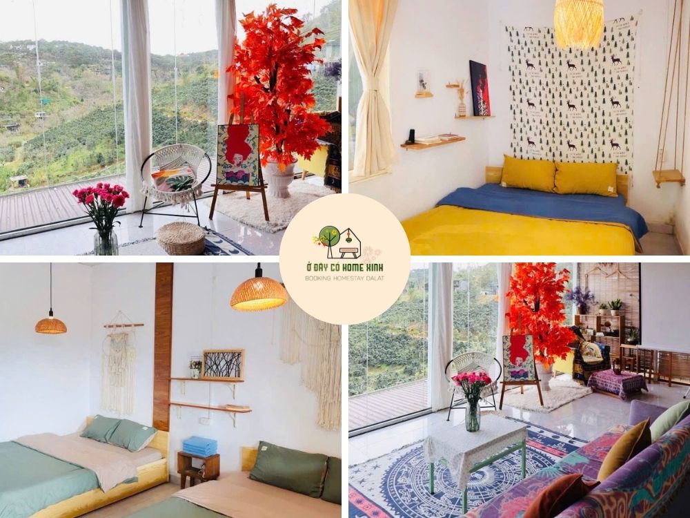 tổng quan gấu home