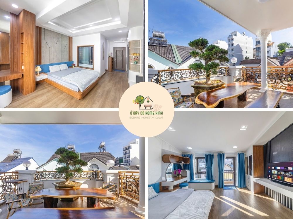 tổng quian Vibe Home
