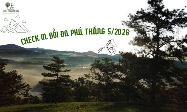 Check In Đồi Đa Phú Tháng 5/2026