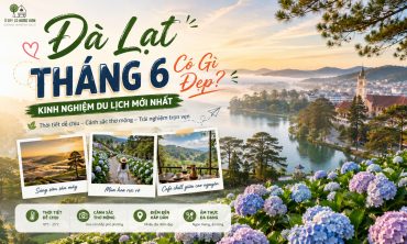 Đà Lạt Tháng 6 Có Gì Đẹp