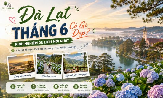 Đà Lạt Tháng 6 Có Gì Đẹp