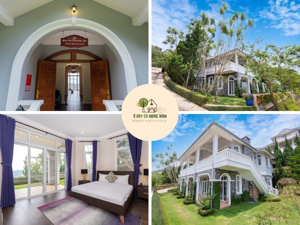 tổng quan Villa Phượng Tím