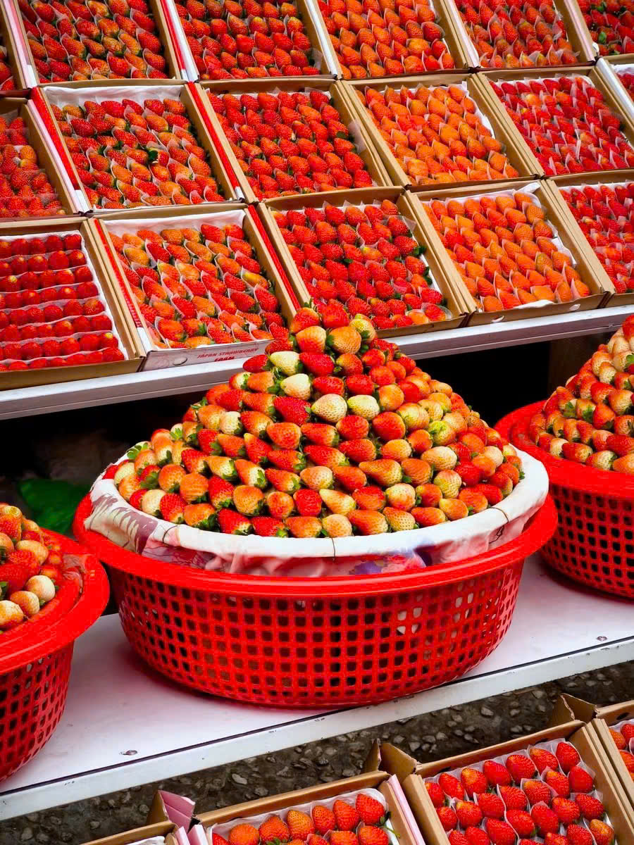 tham quan vườn dâu đà lạt