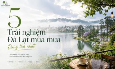 5 Trải Nghiệm Đà Lạt Mùa Mưa