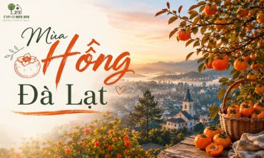 Mùa Hồng Đà Lạt